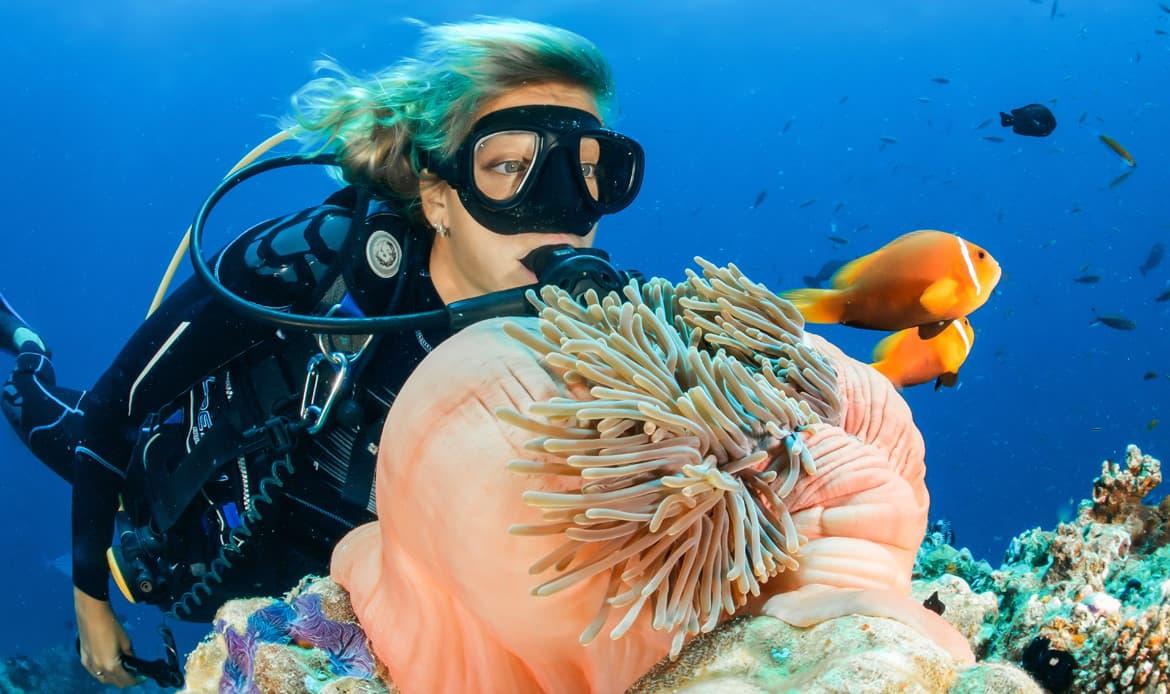 padi cancun diving