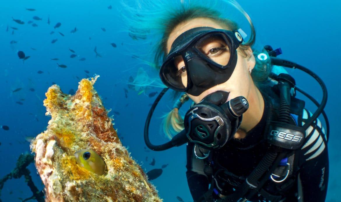 Skin Diving Course Cancun Diving Experiences