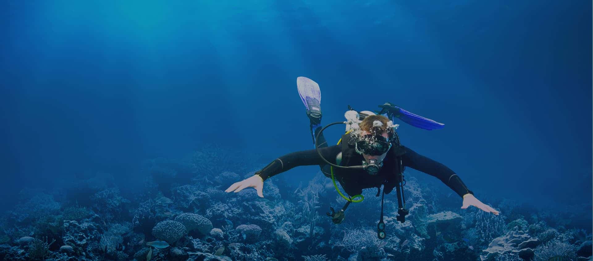 PADI Diving Cancun